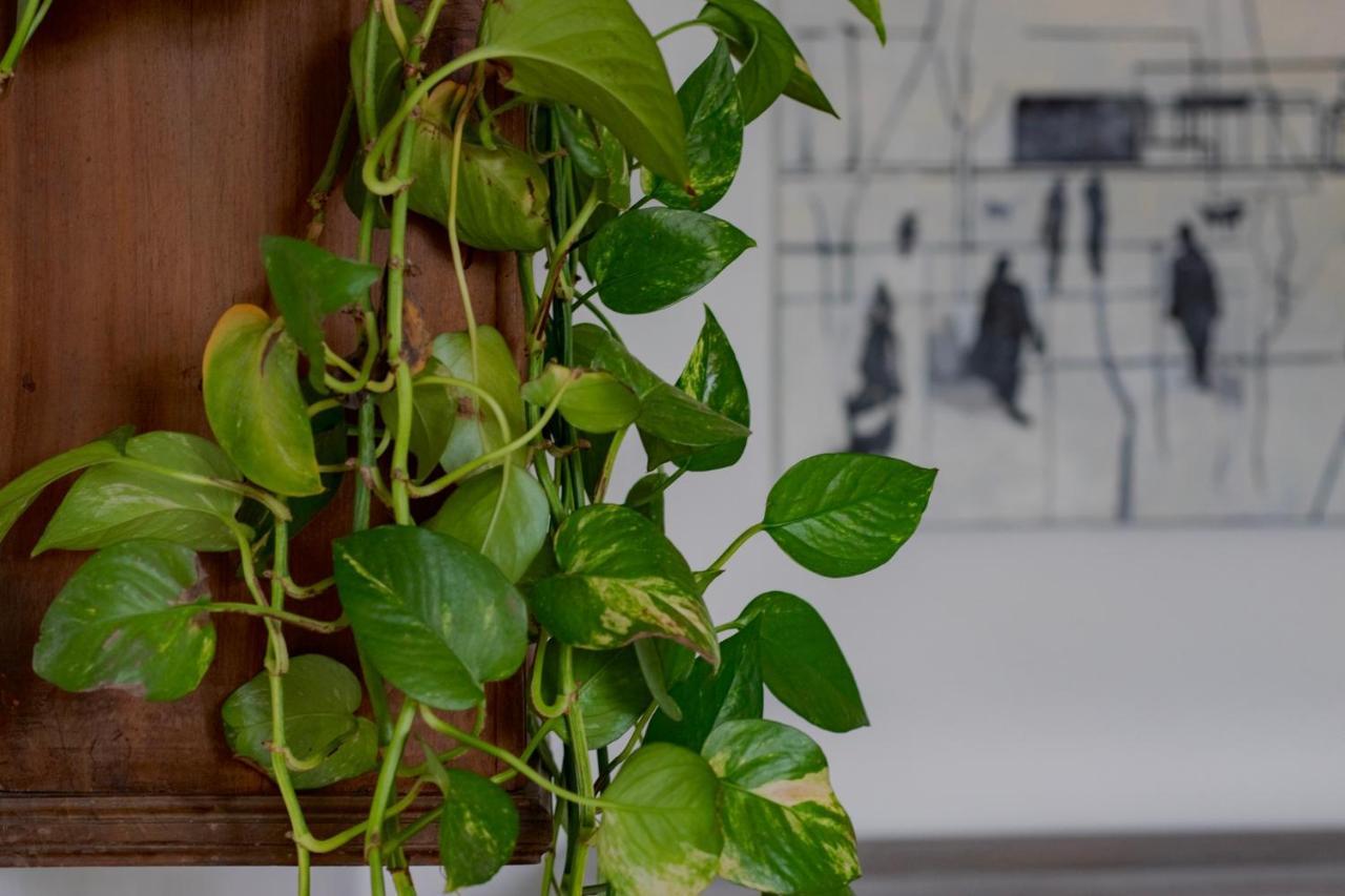 Casa D'Artista - Charming Apartment + Parking ตูริน ภายนอก รูปภาพ